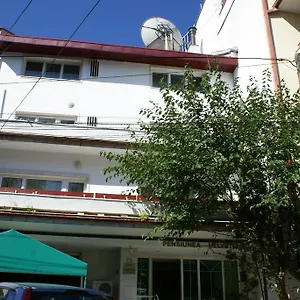 Pensiunea Helvetia *** Bucharest
