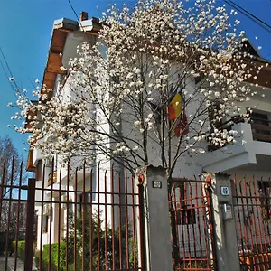 La Noblesse *** Bucharest